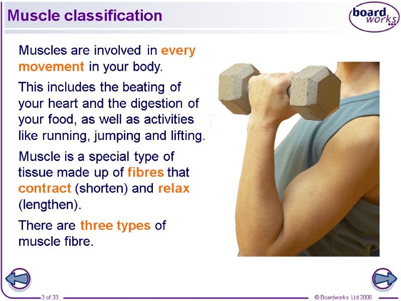 Muscle classification Muscles are involved in every movement in your body.  This includes